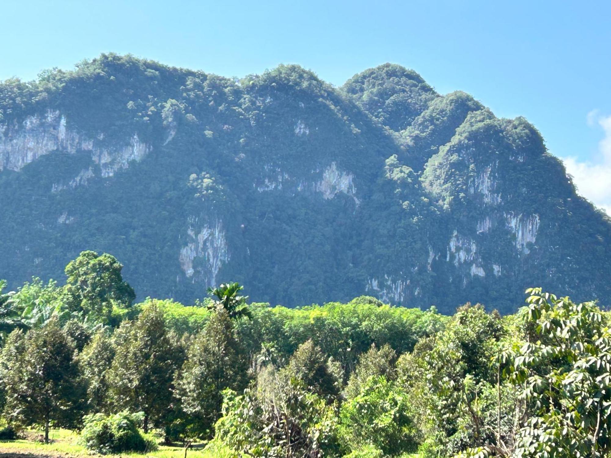 Khaosok Secret Hostel Khao Sok National Park المظهر الخارجي الصورة